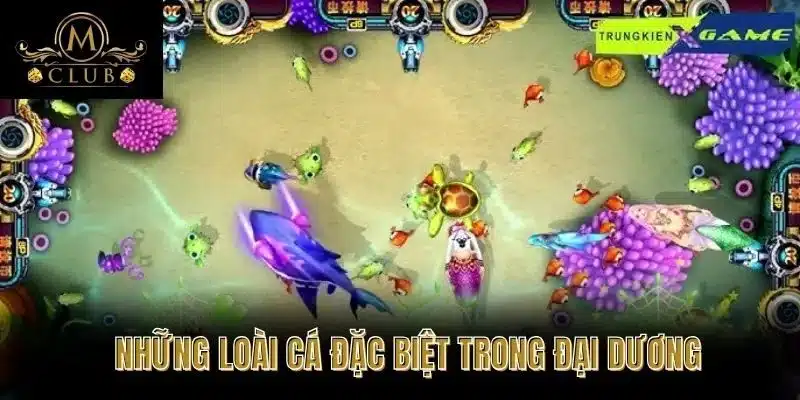 Những Loài Cá Đặc Biệt Trong Đại Dương