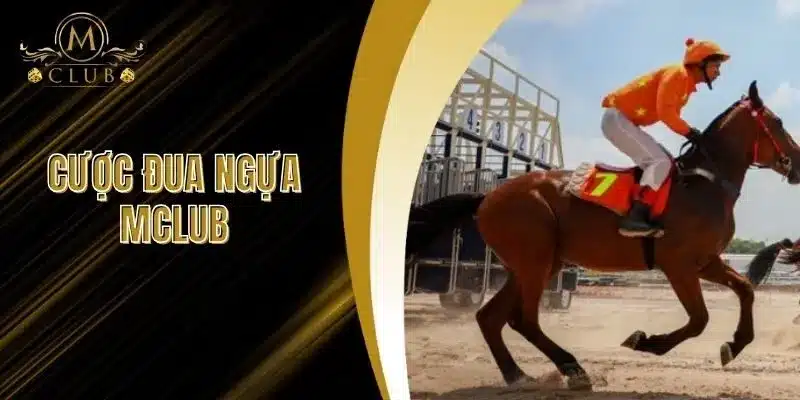 Cược Đua Ngựa MClub - Trải Nghiệm Cơ Hội Chiến Thắng Lớn