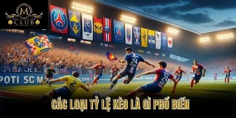 Các Loại Tỷ Lệ Kèo Là Gì Phổ Biến